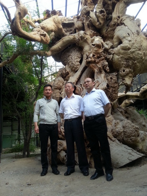 图片关键词 图片关键词